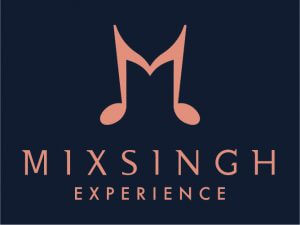 MixSingh Experience Logo