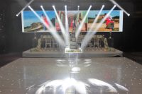 asian wedding celebration